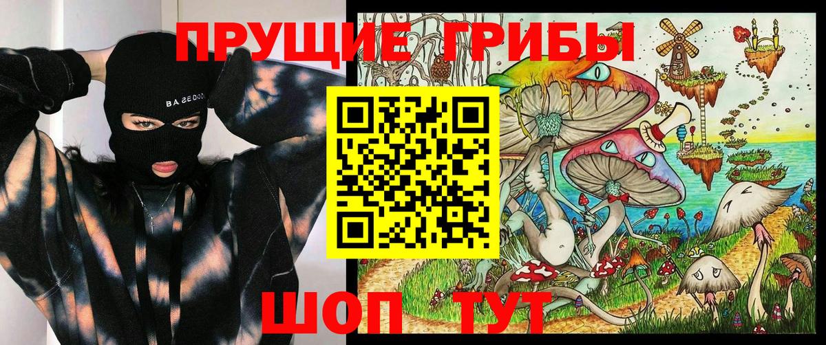 Галлюциногенные грибы Psilocybe  Вход с VPN  Феодосия 